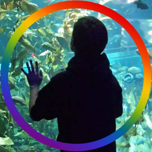 Meet your Posher, Tyler - Picture 1 of 1